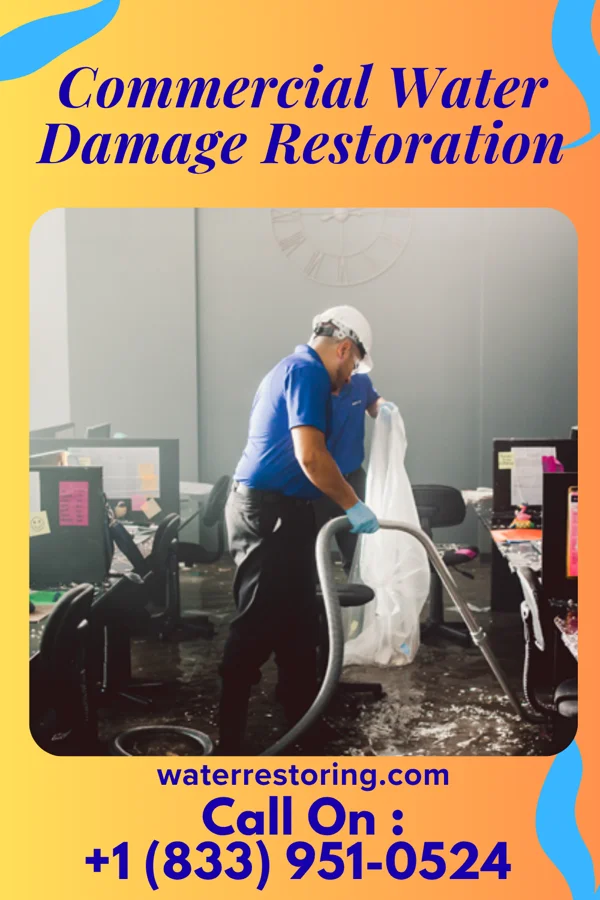 Commercial Water Damage Restoration in Herron, MT