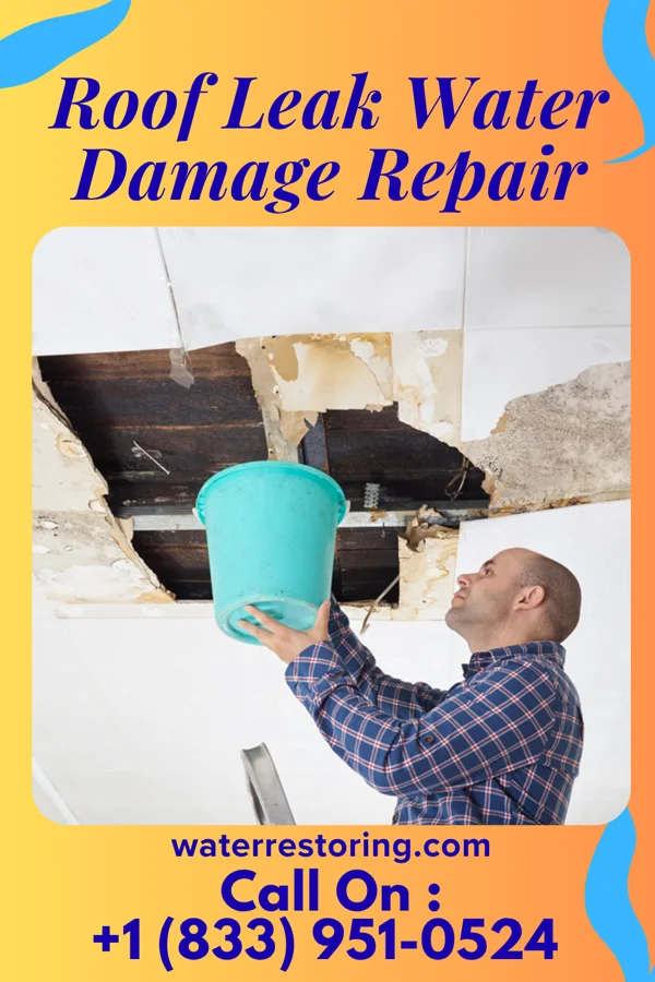 Roof Leak Water Damage Repair in Herron, MT
